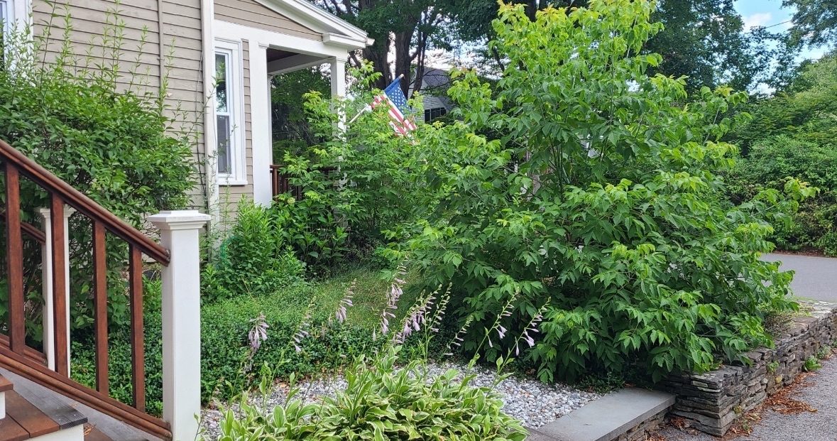Front yard garden beds with stone edging and walkway