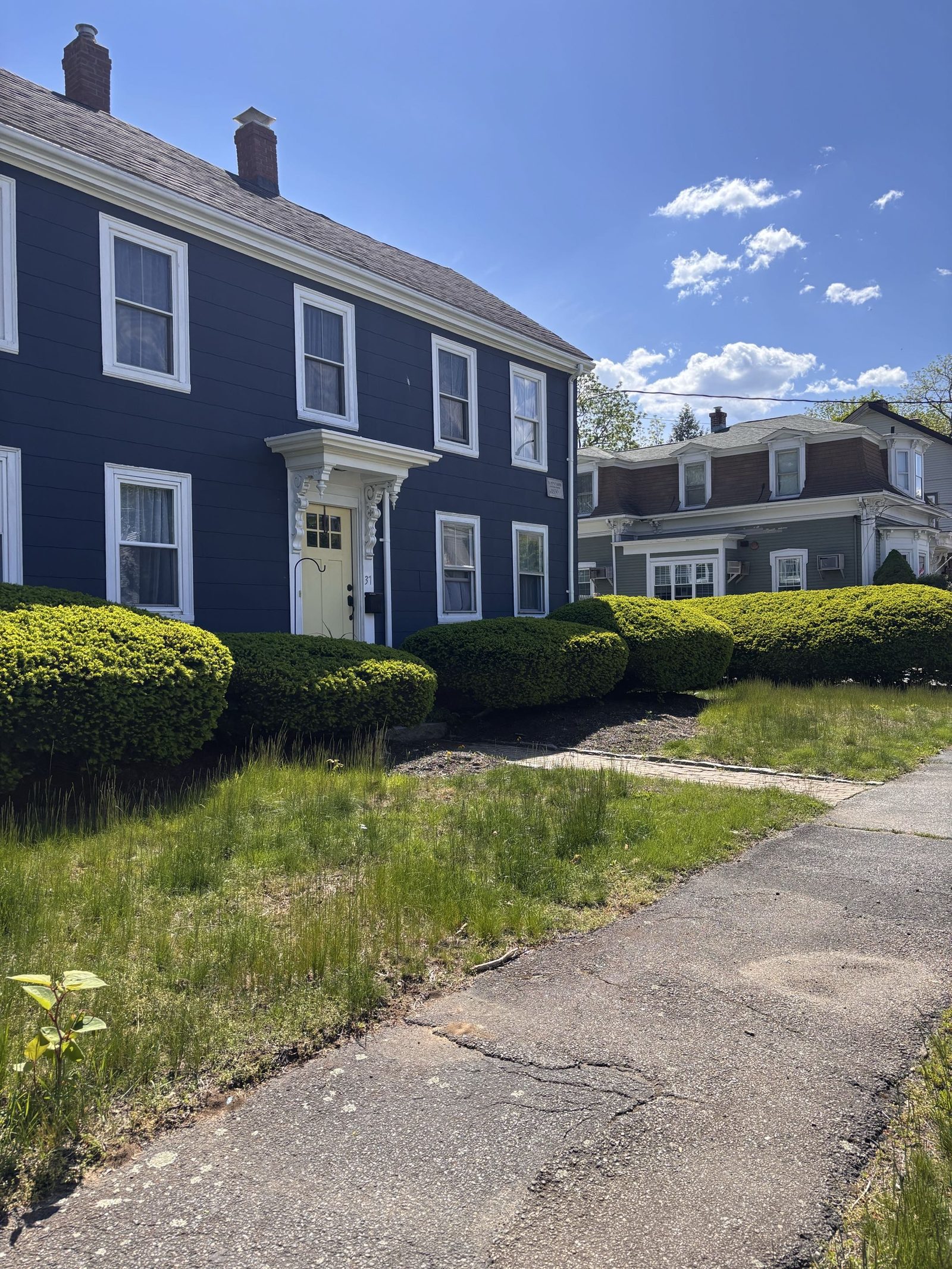 Overgrown lawn before Marron Brothers service