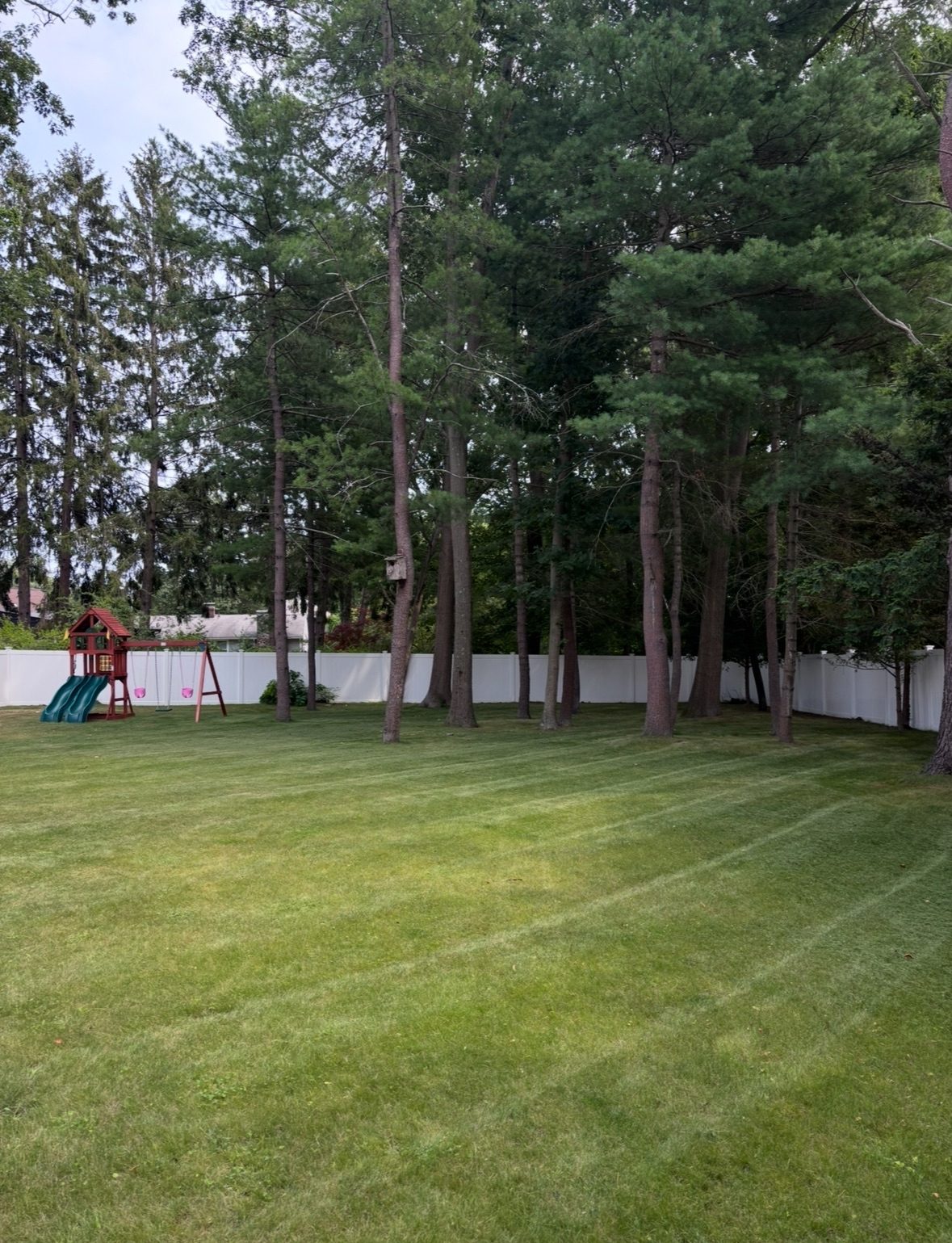 Weekly Lawn Maintenance