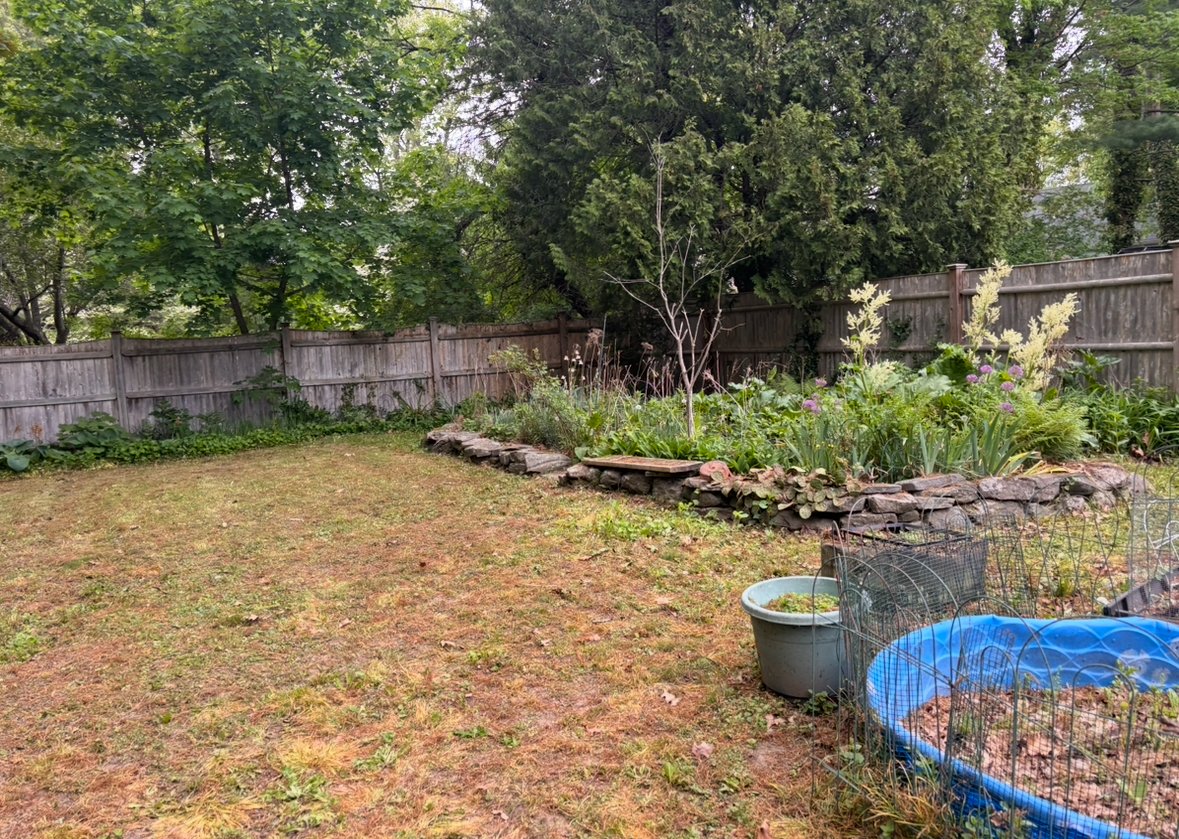 Restored backyard with fresh mulch beds and clean edging